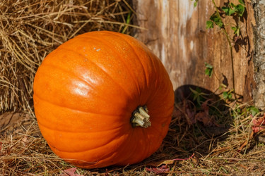 Similar image 13274165