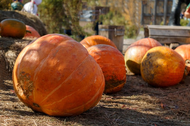 Similar image 13274166