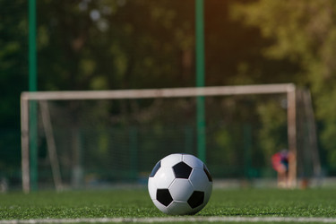 Similar image 13279919