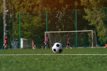 Similar image 13279926