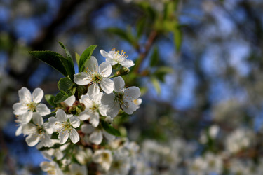 Similar image 13276670