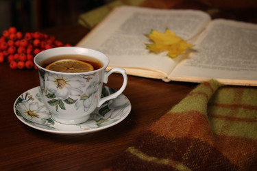 Similar image 13276671