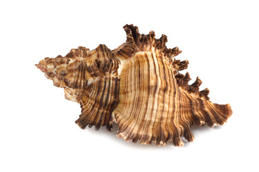 Similar image 13277243