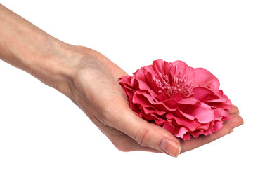 Similar image 13277517