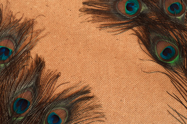 Similar image 13277525