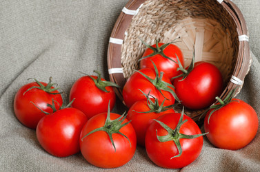 Similar image 13277526