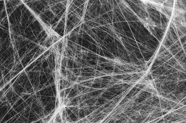 Similar image 13277529