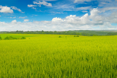 Similar image 13278224