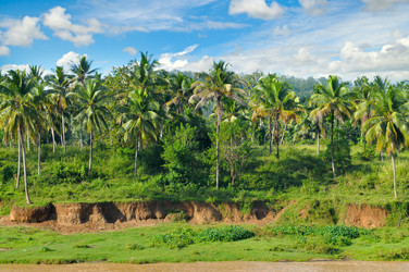 Similar image 13278252