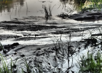 Similar image 13276676