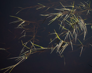 Similar image 13276677