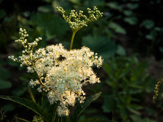 Similar image 13288743