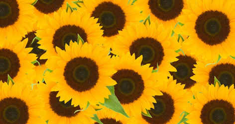 Similar image 13281496