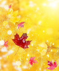 Similar image 13281634