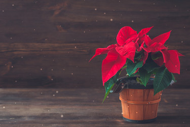 Similar image 13283026