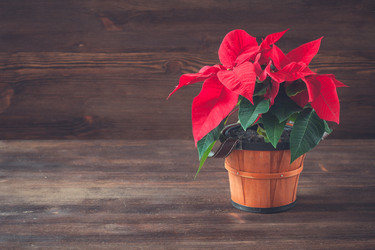 Similar image 13283027