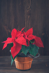 Similar image 13283028