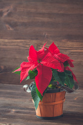 Similar image 13283029