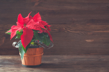 Similar image 13283030