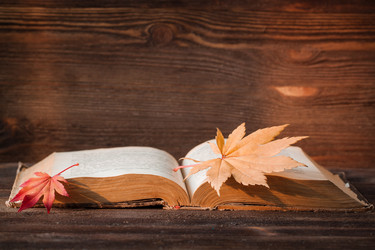 Similar image 13283034