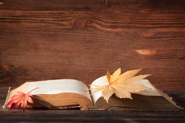 Similar image 13283045