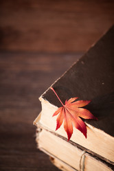 Similar image 13283048