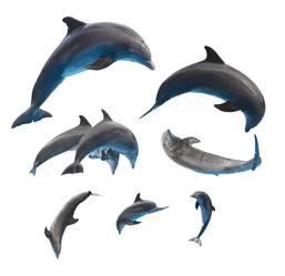 Similar image 13281551