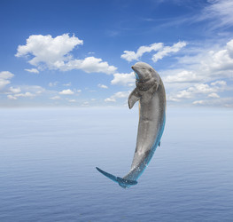 Similar image 13281616