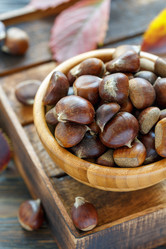 Similar image 13274503