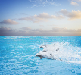 Similar image 13281775