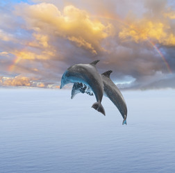 Similar image 13281780