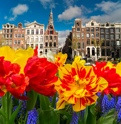 Similar image 13281580