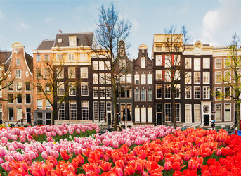 Similar image 13281609