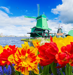 Similar image 13281613