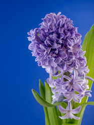 Similar image 13276678