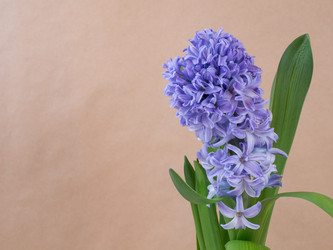 Similar image 13276679