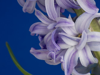 Similar image 13276680