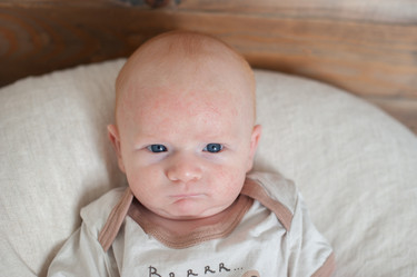 Similar image 13276715