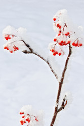 Similar image 13276681