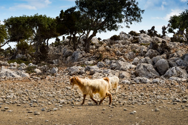 Similar image 13283711