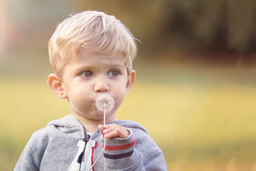 Similar image 13284090