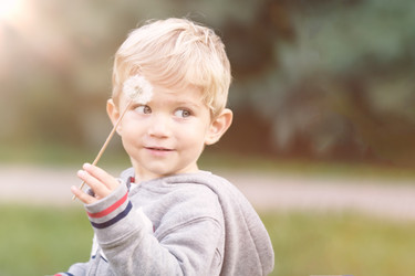 Similar image 13284092