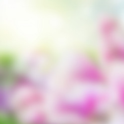 Similar image 13281707