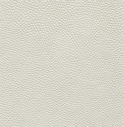 Similar image 13277331