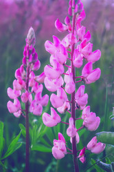 Similar image 13277114