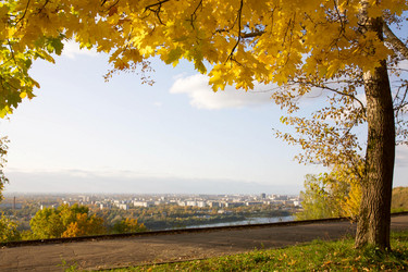 Similar image 13278209