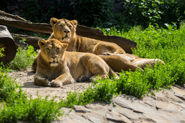 Similar image 13280009