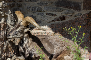 Similar image 13280010