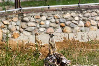 Similar image 13280011