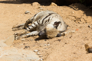 Similar image 13280012